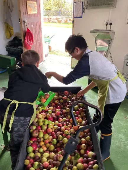 Farm 2025 - Gallery 3 - image 31