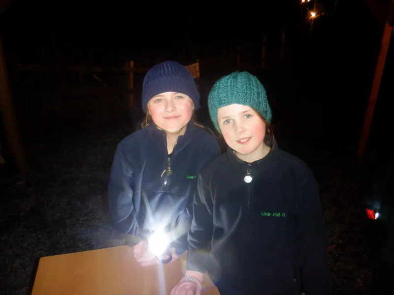 Gallery - created at 2025-02-25 21:38:38 - image 4