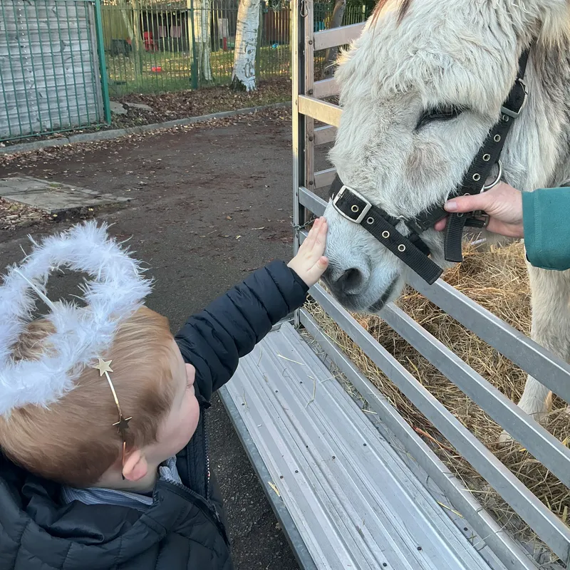 Stella farm on wheels Part 1 - image 54