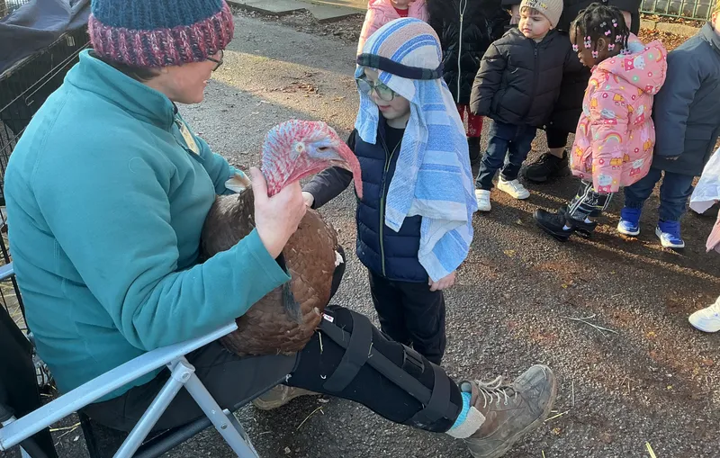 Stella farm on wheels Part 1 - image 20