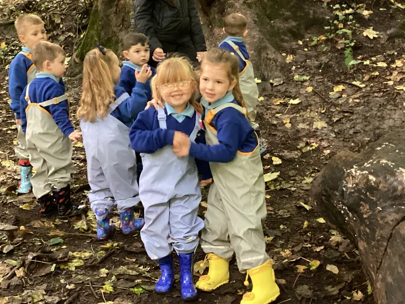 Nursery Fun in the Woods - image 4 Nursery Fun in the Woods - image 4
