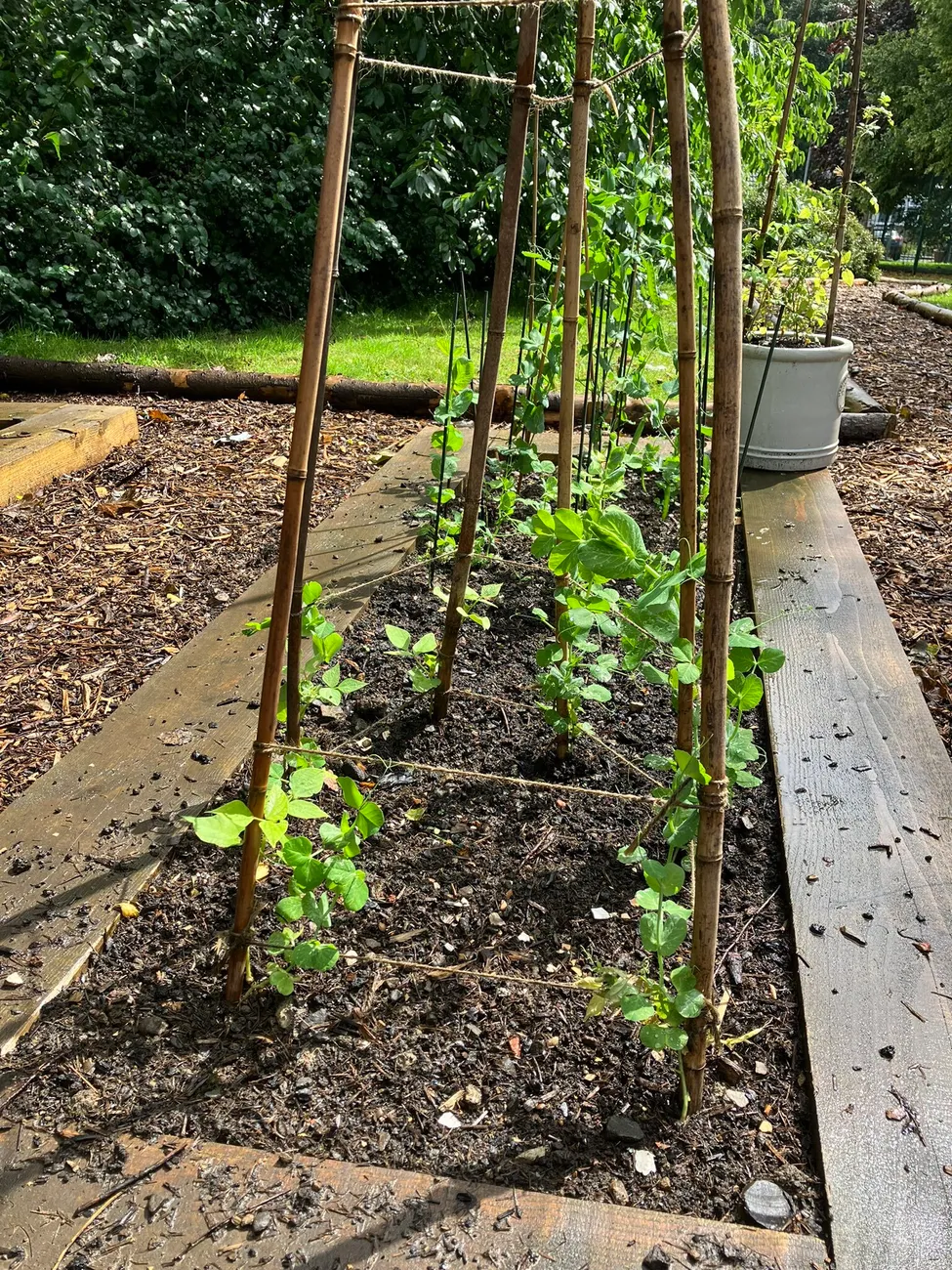 Gallery - created at 2023-09-07 16:46:06 - image 23 Gallery - created at 2023-09-07 16:46:06 - image 23