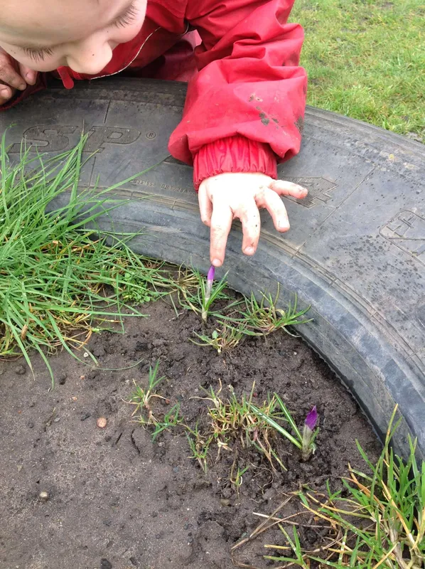 Gallery - created at 2023-10-17 11:22:00 - image 2