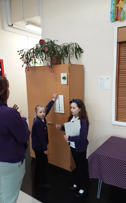 Gallery - created at 2025-02-07 10:48:17 - image 34 Gallery - created at 2025-02-07 10:48:17 - image 34