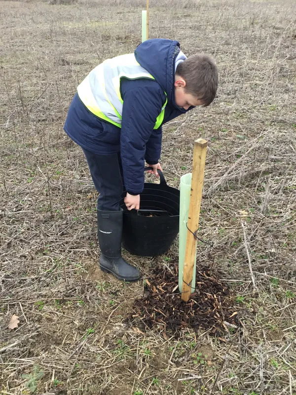 See our work in progress in this gallery! - image 41