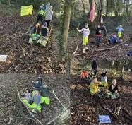 Forest School 81 - image 4 Forest School 81 - image 4