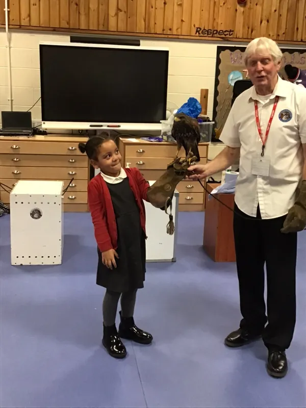 birds of prey year 1 25 - image 7 birds of prey year 1 25 - image 7