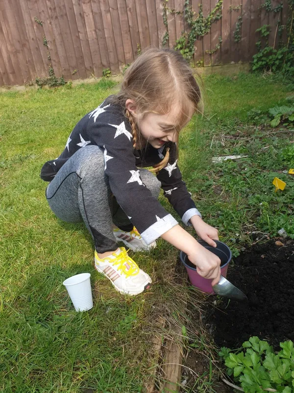 Maddie planting