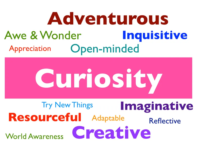 St Nics Values - image 2 St Nics Values - image 2