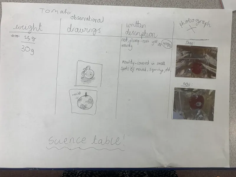 Gallery - created at 2023-10-12 11:42:37 - image 3