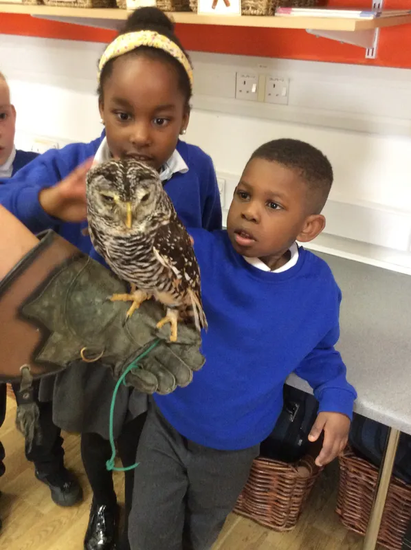 Gallery - created at 2024-02-26 17:15:57 - image 6 Gallery - created at 2024-02-26 17:15:57 - image 6