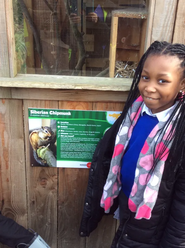 Gallery - created at 2024-02-29 15:51:05 - image 3 Gallery - created at 2024-02-29 15:51:05 - image 3