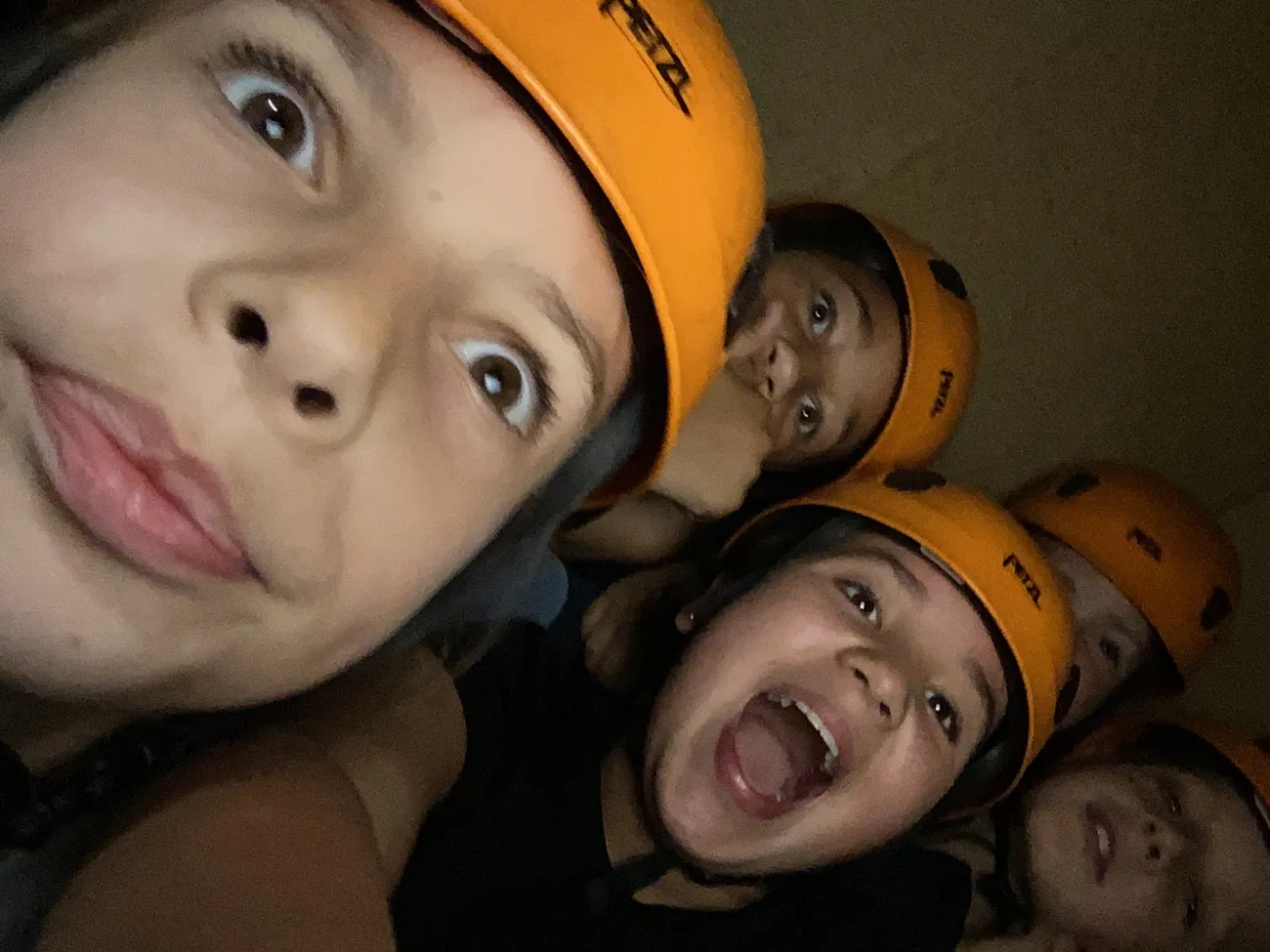 Gallery - created at 2024-09-18 20:08:11 - image 21 Gallery - created at 2024-09-18 20:08:11 - image 21