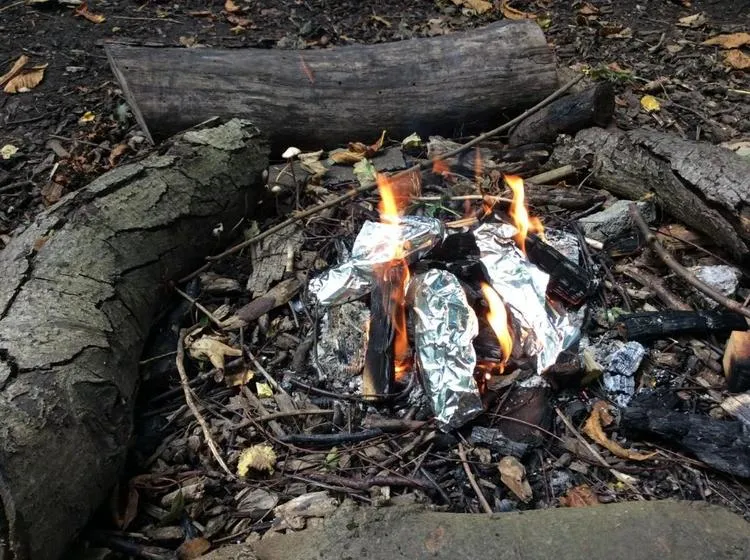We have enjoyed cooking in the woods. - image 1 We have enjoyed cooking in the woods. - image 1