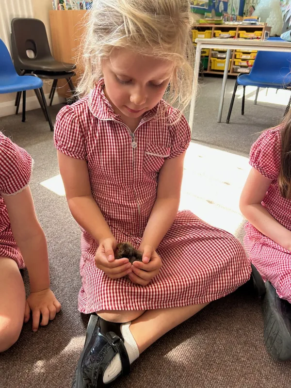 Gallery - created at 2025-05-15 20:09:46 - image 2