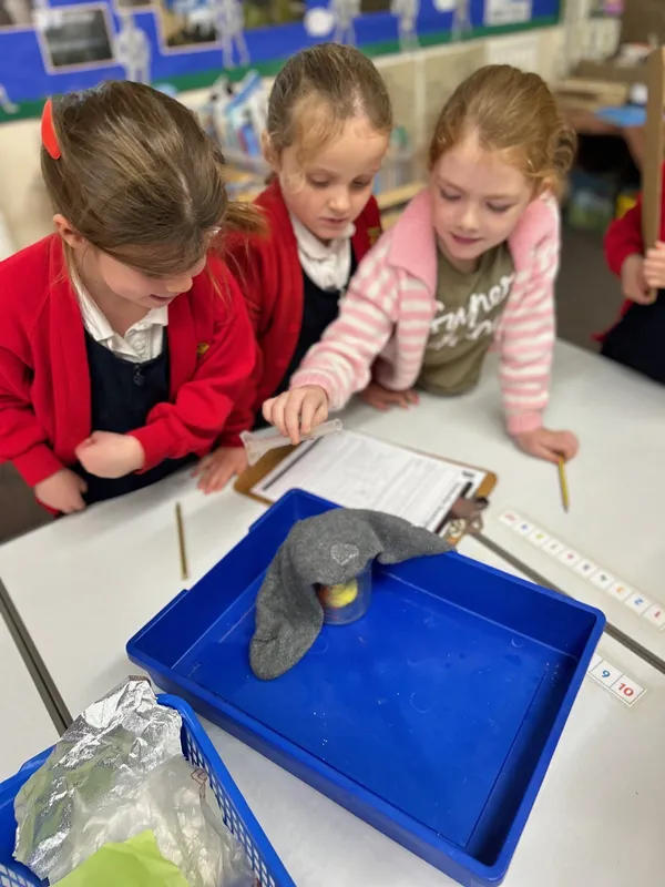 Gallery - created at 2024-10-11 11:55:18 - image 9