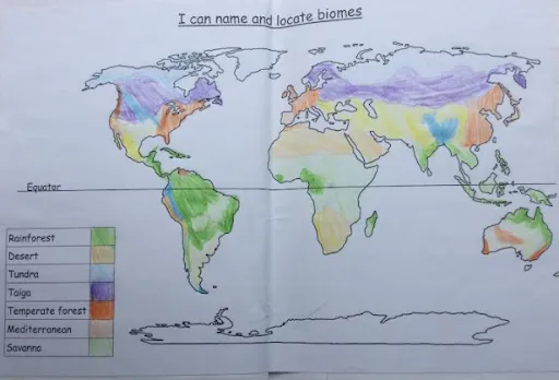 Gallery - created at 2024-09-23 10:09:52 - image 1 Gallery - created at 2024-09-23 10:09:52 - image 1