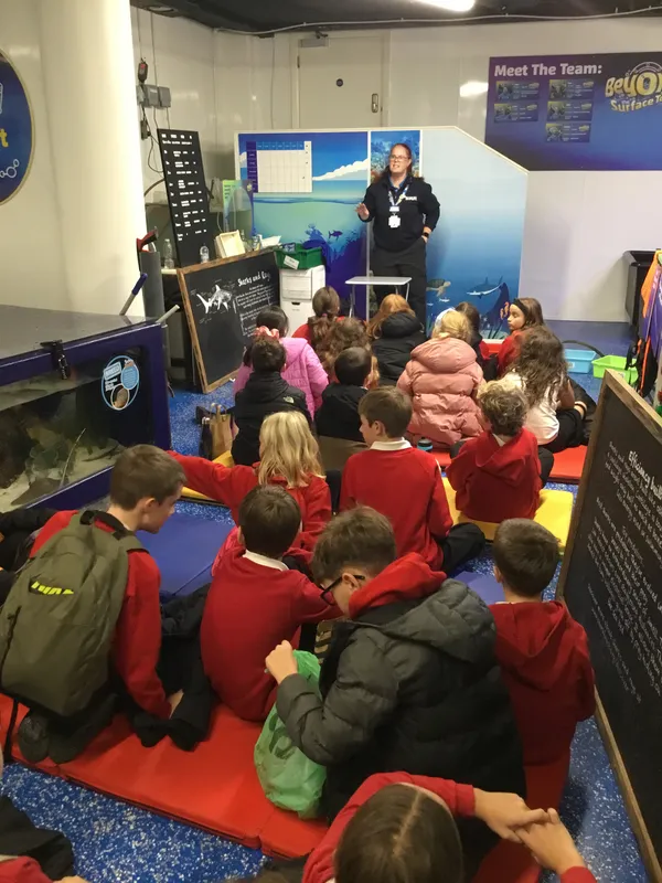 Year 5 Sealife Centre  - image 29