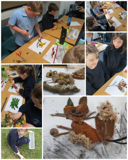 Nature collages