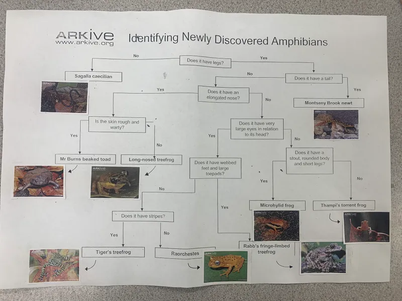 Gallery - created at 2023-10-12 11:42:37 - image 1