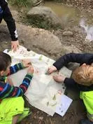 Forest School 122 - image 2 Forest School 122 - image 2