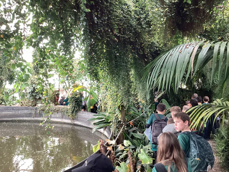 LKS2 Botanical Gardens Trip - image 13