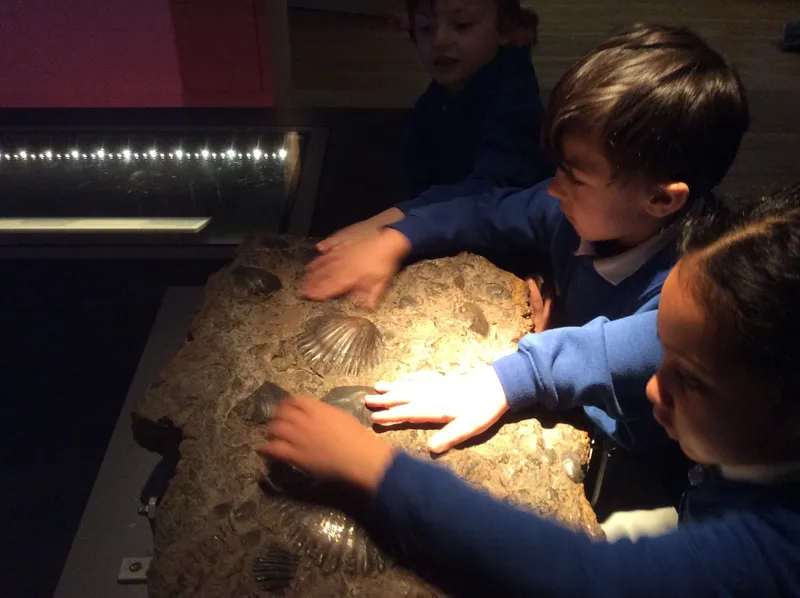 Gallery - created at 2024-02-15 10:35:32 - image 21 Gallery - created at 2024-02-15 10:35:32 - image 21