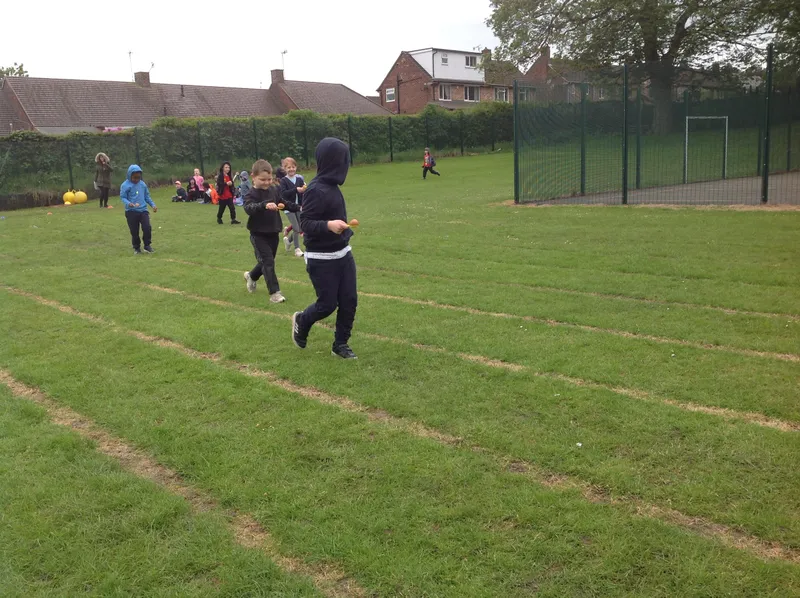 Gallery - created at 2021-06-11 10:23:24 - image 43