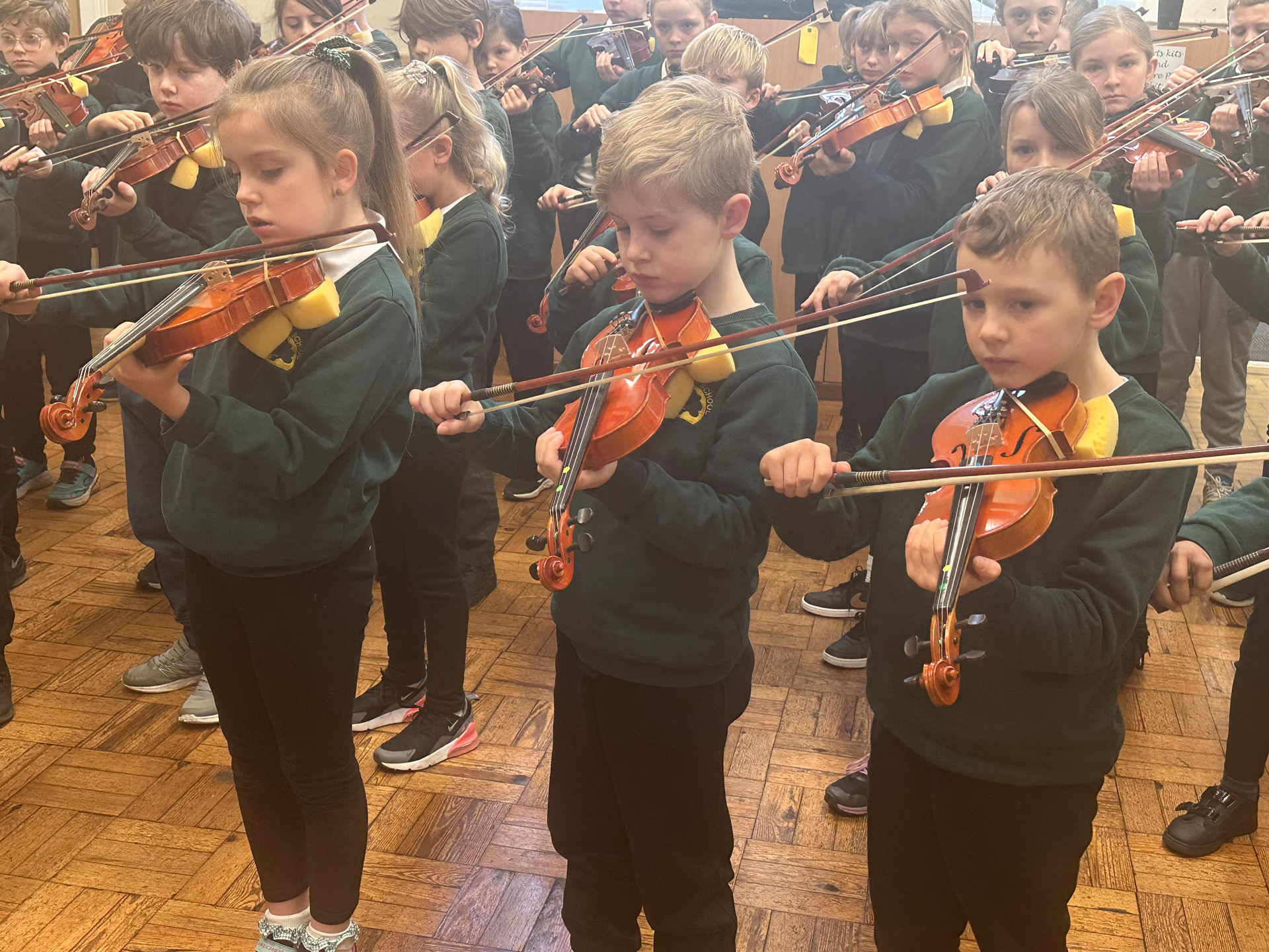 Foxes & Wild Boar Violin Concert