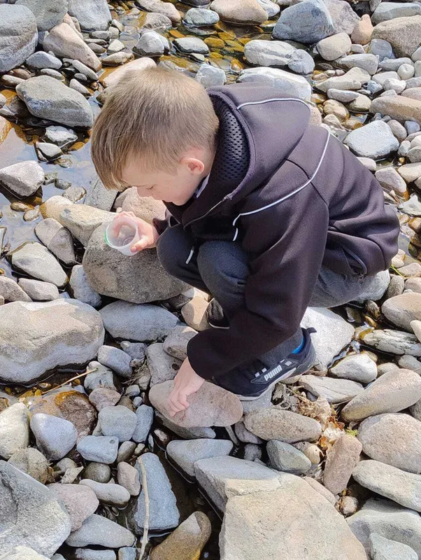 Gallery - created at 2025-06-06 10:37:45 - image 5 Gallery - created at 2025-06-06 10:37:45 - image 5