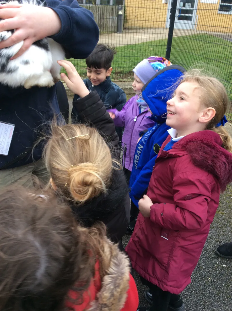 Gallery - created at 2023-03-03 16:33:51 - image 18