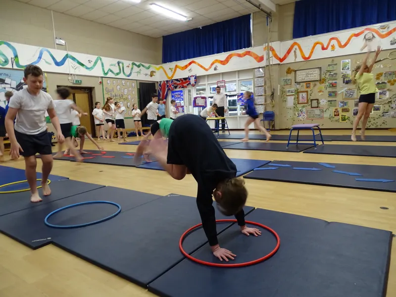 Ospreys Gymnastics Skills - image 14 Ospreys Gymnastics Skills - image 14