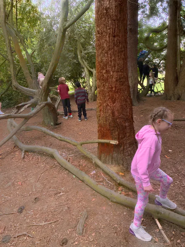 Year 3 Losehill Residential 2026 - image 80