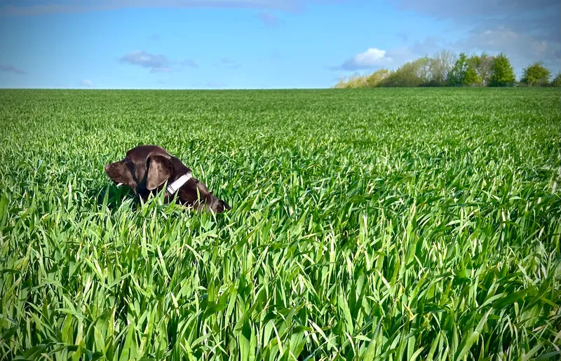 Gallery - created at 2021-06-30 13:57:57 - image 16