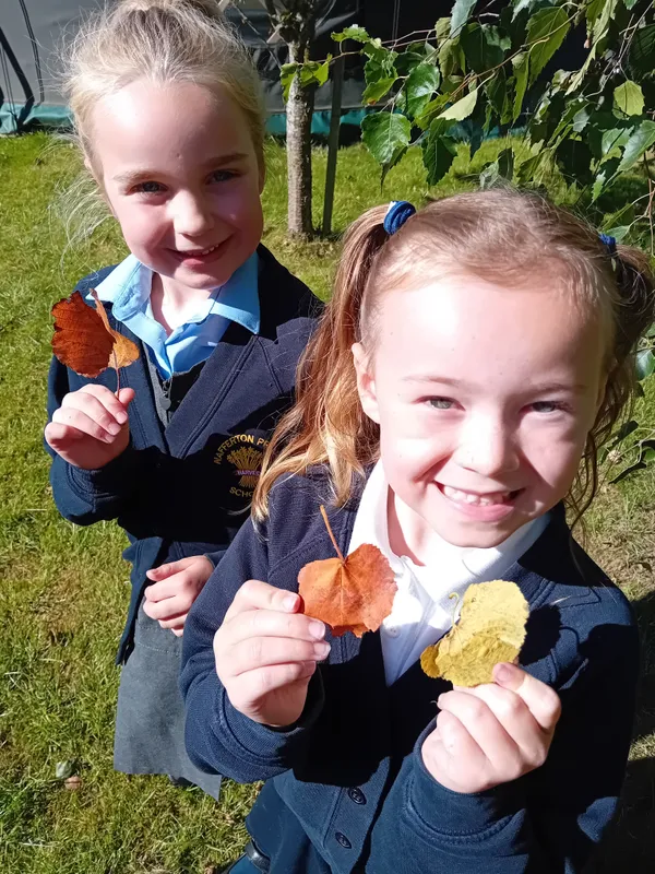 Robins searching for autumn treasures - image 8 Robins searching for autumn treasures - image 8