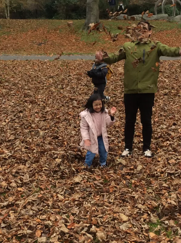 Gallery - created at 2024-11-05 15:27:50 - image 16 Gallery - created at 2024-11-05 15:27:50 - image 16