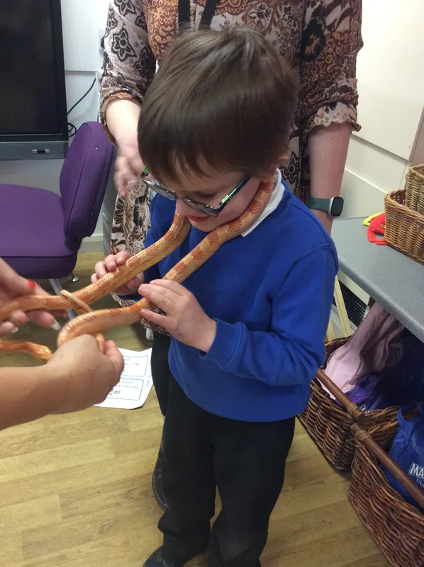 Gallery - created at 2024-03-05 13:52:56 - image 18 Gallery - created at 2024-03-05 13:52:56 - image 18