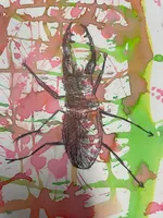 Bugs - image 4