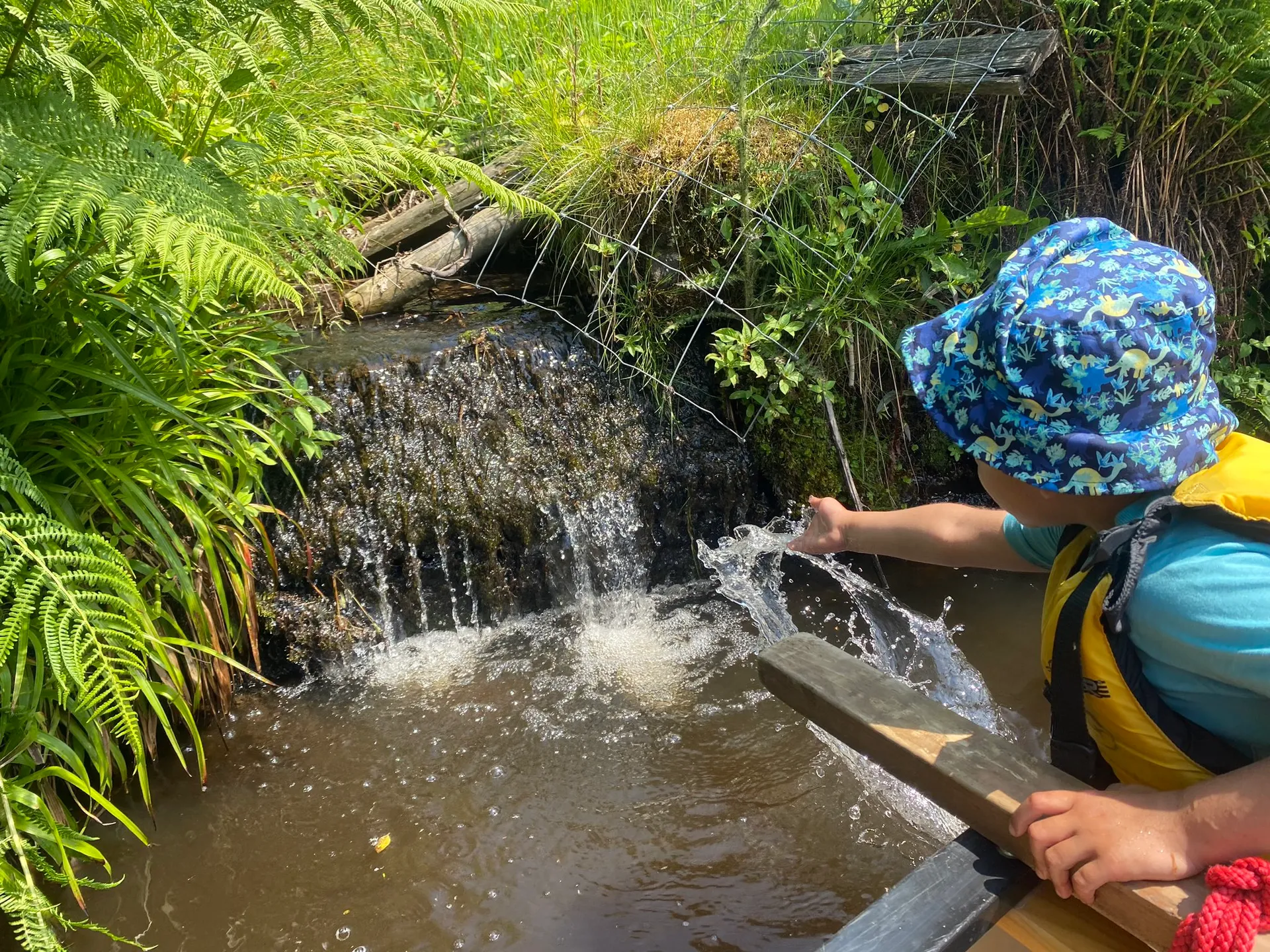 Rafted Canoeing - image 9