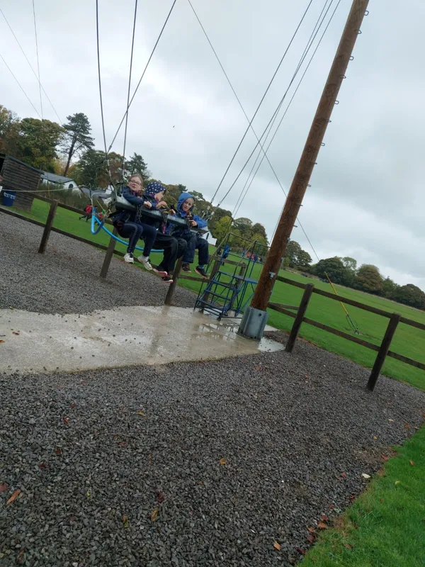 Gallery - created at 2022-10-22 14:49:24 - image 28