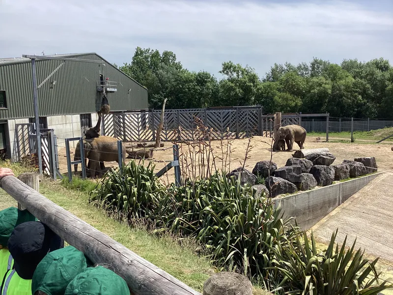 Blackpool zoo - image 7