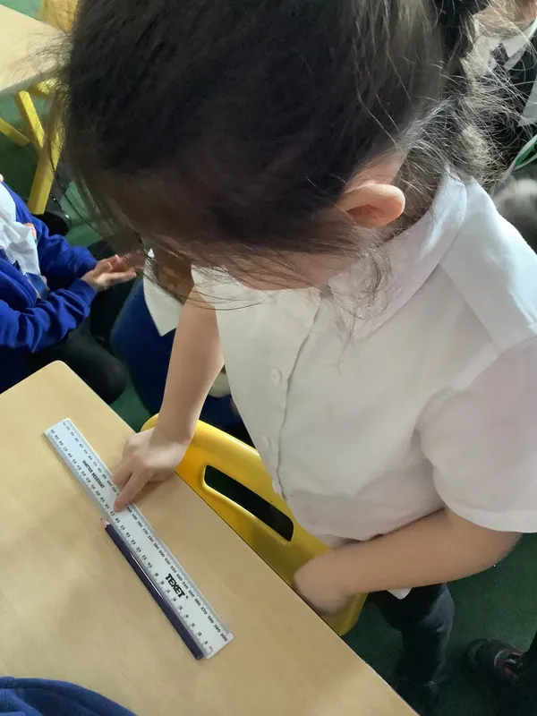 SC maths spring 2 - image 3