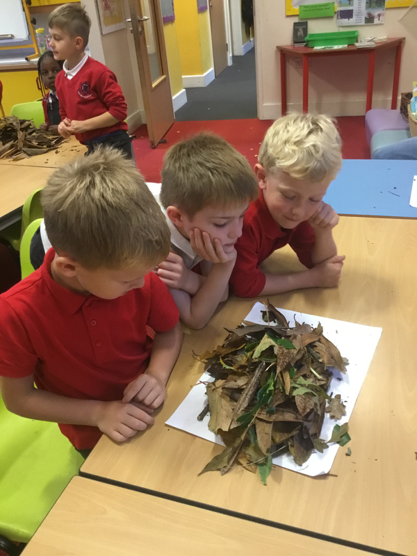 Science- Making waterproof environments using natural materials