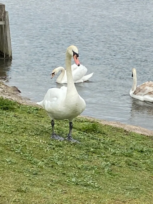 Gallery - created at 2021-05-24 14:24:17 - image 3