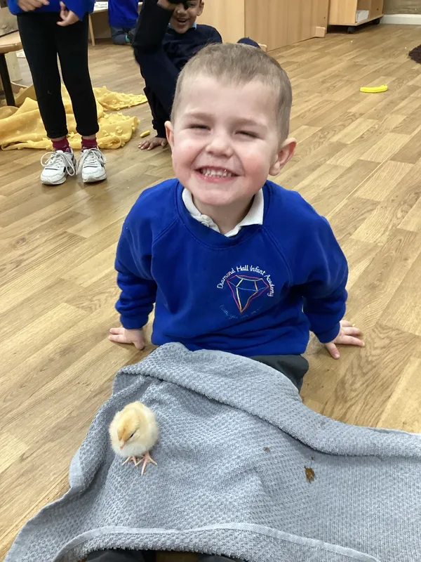 Gallery - created at 2024-07-04 16:12:30 - image 14