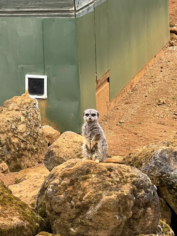 Gallery - created at 2023-02-28 20:50:59 - image 1 Gallery - created at 2023-02-28 20:50:59 - image 1