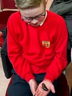 Gallery - created at 2023-03-01 14:01:13 - image 35