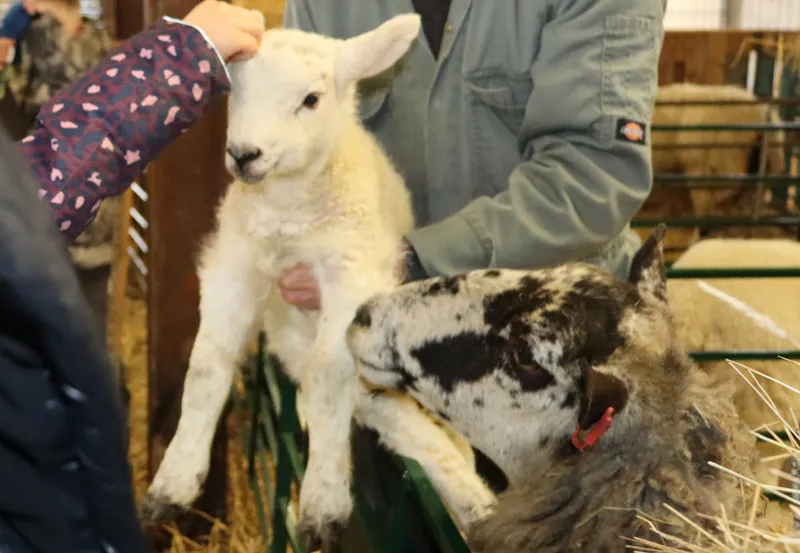 Farm march '26 - image 13 Farm march '26 - image 13