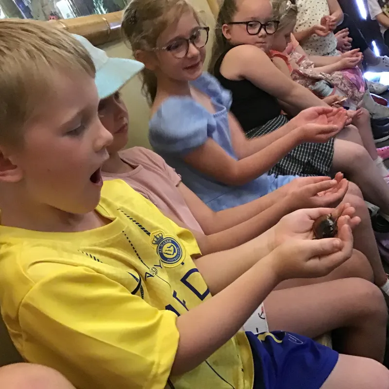 Extra-Curricular Gallery - image 13