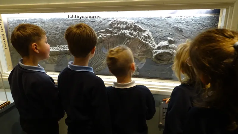 Swallows enjoying their trip to Hull's Museum Quarter - image 2 Swallows enjoying their trip to Hull's Museum Quarter - image 2